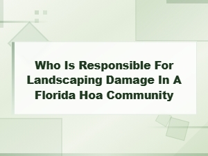 Who Pays for Landscaping Damage in a Florida Hoa?